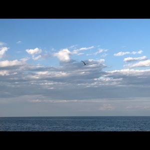 Meet your Posher, Yixuan